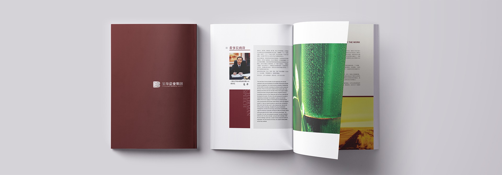 品牌設(shè)計(jì)，品牌策劃，品牌規(guī)范