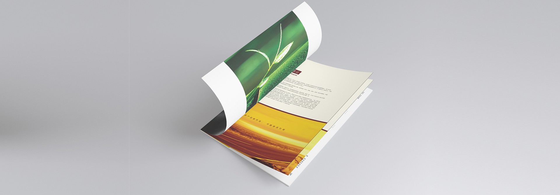 品牌設(shè)計(jì)，品牌策劃，品牌規(guī)范